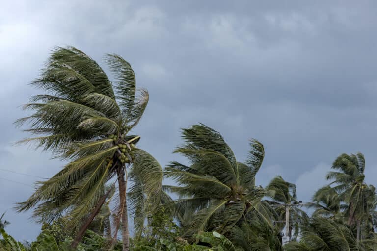 el nino hurricane risk florida