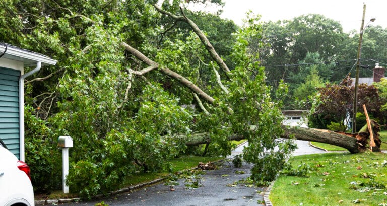 What the Super El Niño Means for Florida Homeowners This Hurricane Season
